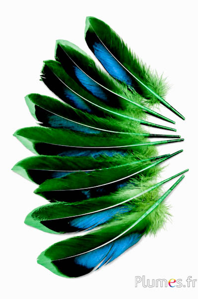 Anatra - 8-10 cm - verde
